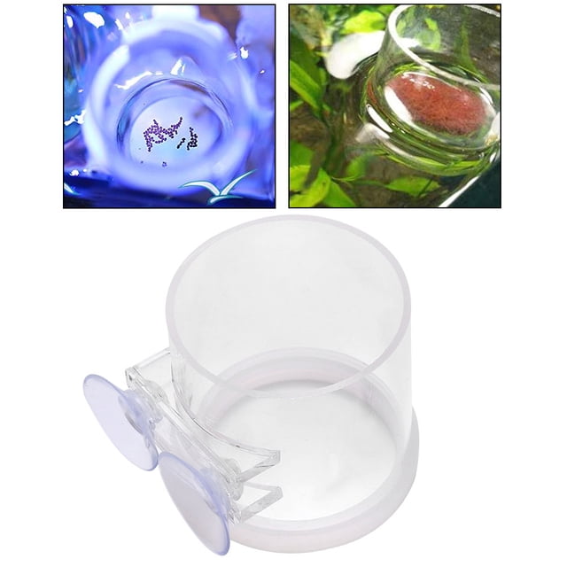 Alimentador Acrílico Aqarium, Alimentador Aqarium De Anillo De Alimentación De Peces, Tienda De Peces Acrílicos Para Tanque De Pesca Para Aqarium Houeshold YLSHRF Otros