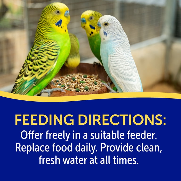 3-D Pet Products Premium Parakeet Bird Food, 5 lb Stay Fresh Jar photo 4
