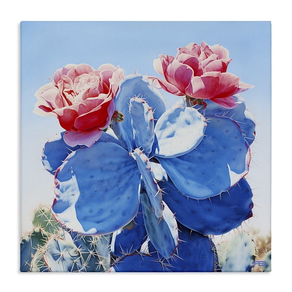 Stupell Industries Rustic Lodge Twin Cactus Blossoms Canvas Art, 24 x 24, by RB