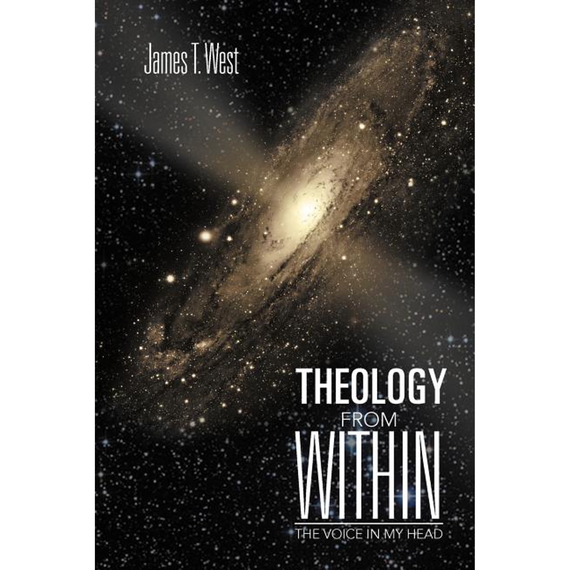 Theology From Within: The Voice In My Head (Paperback)