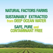 Natural Factors Whole Earth & Sea, Deep Ocean Minerals, 3.38 oz
