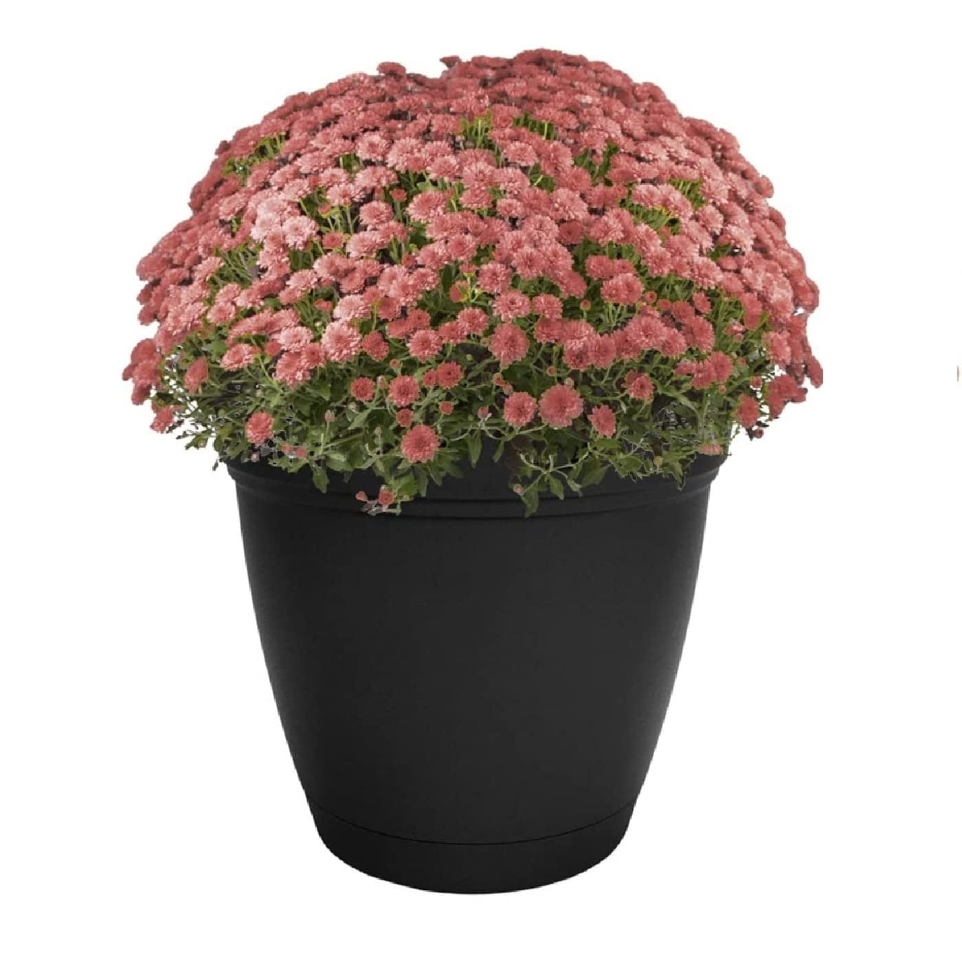 The HC Companies 12 Inch Eclipse Round Planter with Saucer - Indoor Outdoor Plant Pot for Flowers, Vegetables, and Herbs, Black