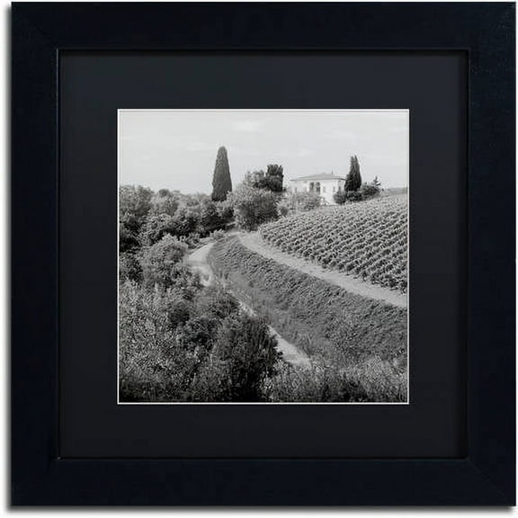 Trademark Fine Art "Tuscany V" Canvas Art by Alan Blaustein, Black Matte, Black Frame