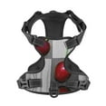 thumbnail image 4 of Picia Cherries laid No-Pull Dog Harness Reflective Front Clip Vest with Handle,Step-in Air Dog Harness,Adjustable 2 Metal Rings 4 Buckles,Easy to Put on & Take Off Small, 4 of 9