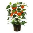 thumbnail image 1 of The New Simulation Fruit Big Bonsai Is Suitable For Festive Decoration And Home Decoration, 1 of 9