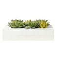 thumbnail image 4 of Vickerman 12"x12" Artificial Green Succulent Arrangement., 4 of 6