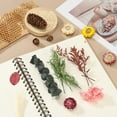 thumbnail image 4 of Natural Dried Flower Set, Dried Pressed Flowers (Globe Amaranth), 4 of 6