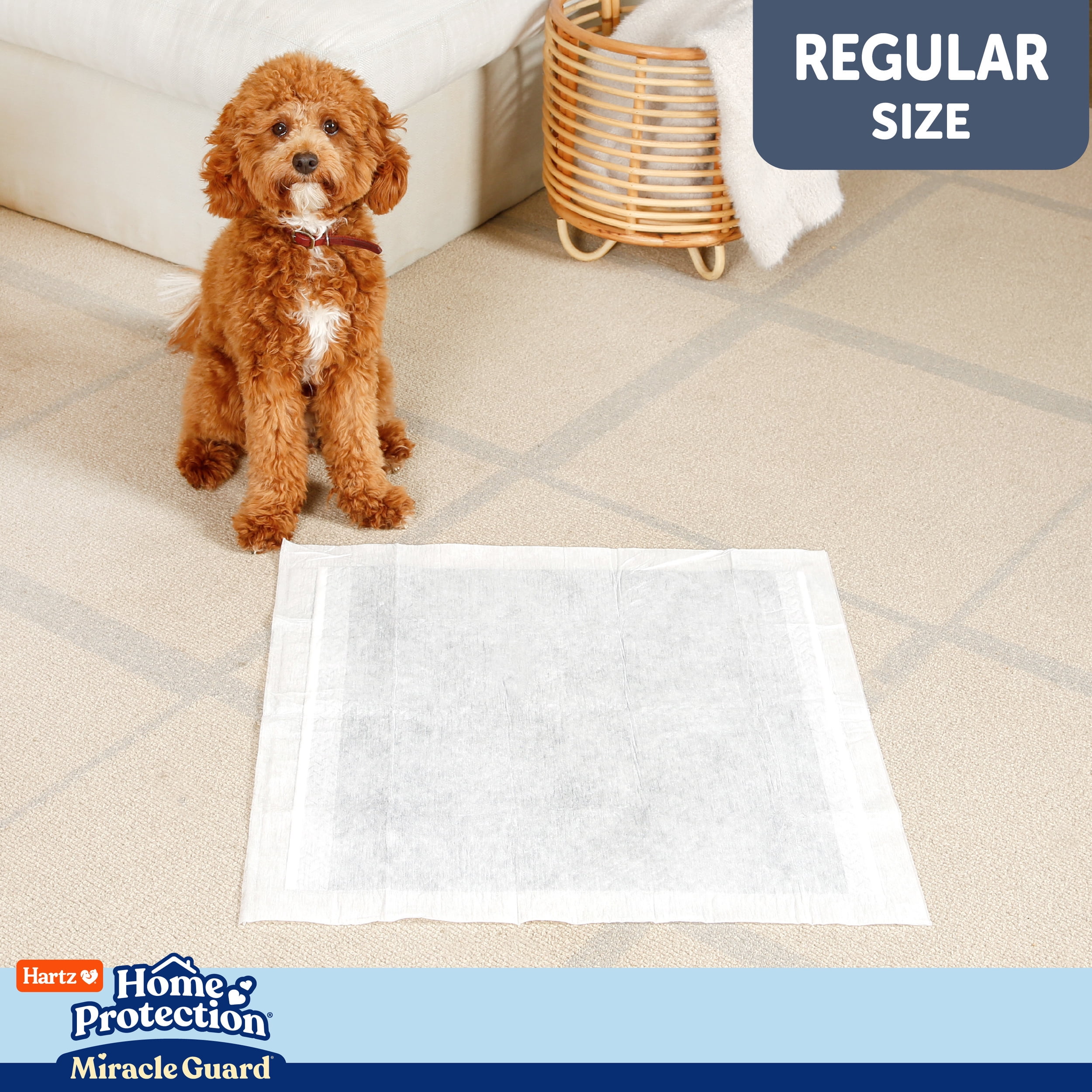 Hartz Miracle Guard Dog and Puppy Pads Max Absorbency 24 Hour Use Odor Eliminating No Leaks, Regular, 25 Count