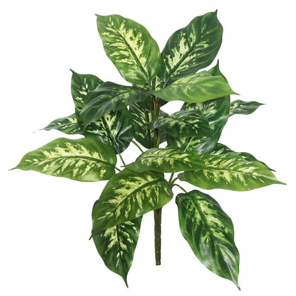 Vickerman 22" Artificial Green Dieffenbachia Plant, Pack of 2