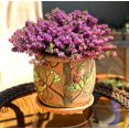 thumbnail image 6 of STP GOODS Ladybugs Handmade Ceramic Planter with Drainage Hole and Saucer 4.7" Indoor/Outdoor Decorative Flower Planter Hand-Painted Flower Pot Clay Succulent Pot, 6 of 9