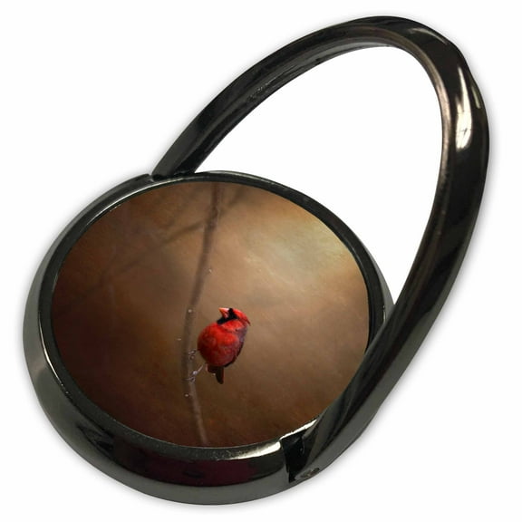 3dRose, Cardinal Fine Art Décor, Phone Ring
