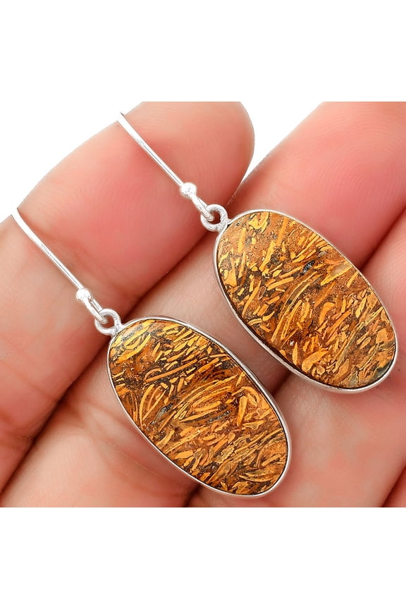 Natural Coquina Fossil Jasper - India 925 Silver Earrings Adult Women Jewelry SDE62458