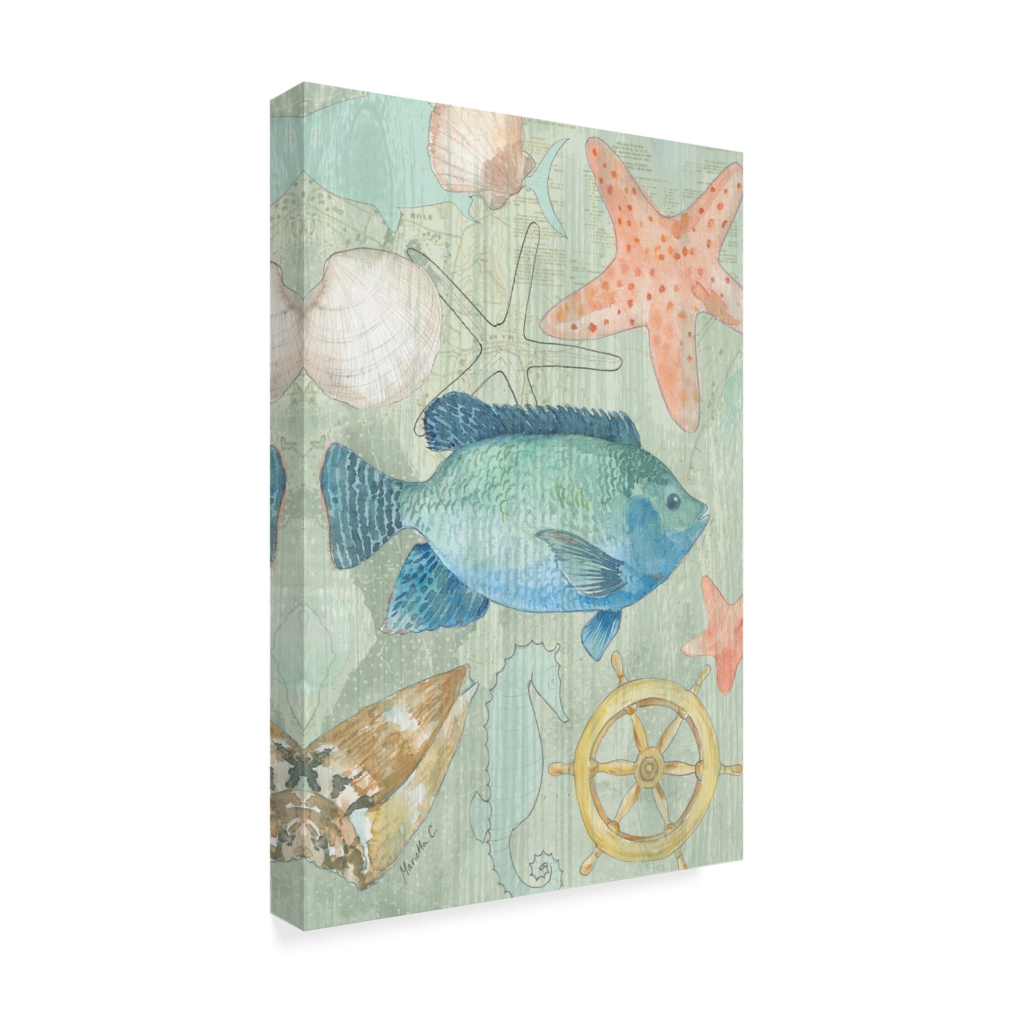 Coastal Nautical 2' Canvas Art by Marietta Cohen Art And Design