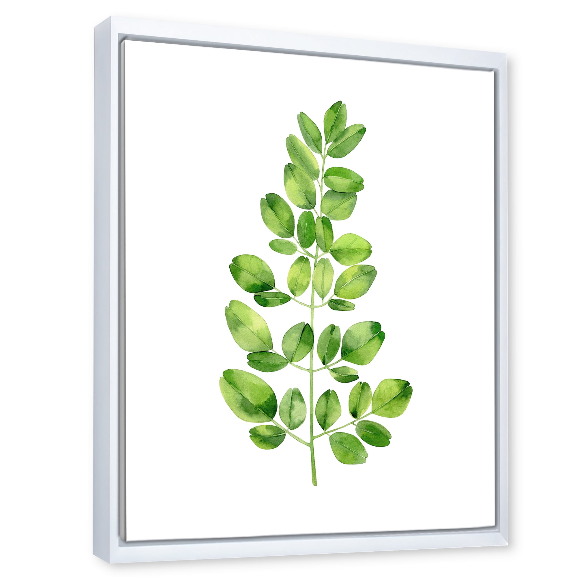 Designart 'Moringa Plant Branch Tropical Tree Foliage' Farmhouse Framed Canvas Wall Art Print