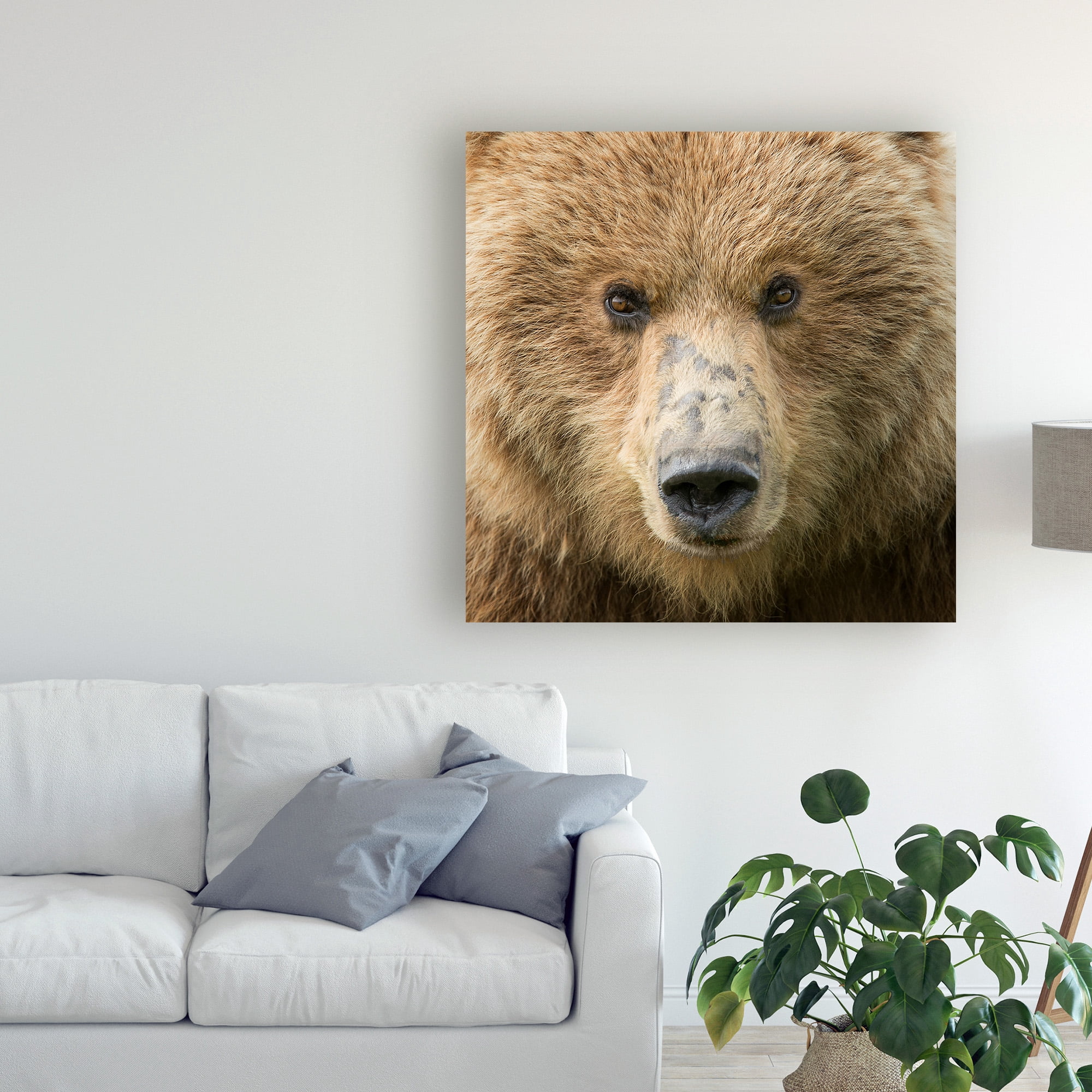 Trademark Fine Art 'Bear Life I' Canvas Art by PHBurchett