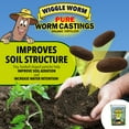 thumbnail image 5 of WIGGLE WORM Soil Builder Earthworm Castings Organic Fertilizer (15 lb) and WIGGLE WORM Castings Tea (8 Oz), 5 of 7