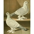 thumbnail image 2 of Gustav Prütz 20x24 Gold Ornate Framed and Double Matted Museum Art Print Titled - C. Badia, C. Farinosa (1884-1886), 2 of 4