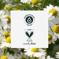 thumbnail image 3 of Herbal Essences Chamomile Shine Conditioner, 3 of 9