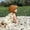 Brown, variant on Floppy Bucket Hat Cute Hats Summer Upf 50+ Summer Hat for Boys Sun Hats Beach Cap (Brown,One Size)