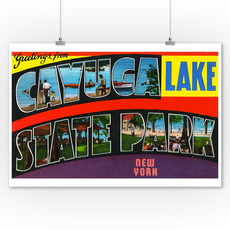 Cayuga Lake State Park, NY - Large Letter Scenes, Greetings From (9x12 Art Print, Wall Decor Travel (Best State Parks In Ny)