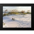 thumbnail image 2 of Braun Studio 18x15 Black Modern Framed Museum Art Print Titled - Plage 11, 2 of 5