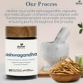 thumbnail image 4 of AKSHAR AYURVEDA Ashwagandha Capsules Gluten Free Supplement for Men and Women, 60 Capsules, 4 of 10
