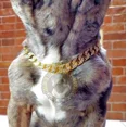 thumbnail image 4 of Collar Para Perro Con Incrustaciones Tipo Zirconias, 4 of 8