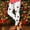 #0010-Multicolor, variant on TaTaai Women's Christmas Print High Waisted Yoga Leggings, Hip Lifting Tummy Control Training Pants Plus Size