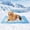 Blue, variant on Dog Cooling Mat, 2026 New Cool Pet Pad, Self-Cooling, Pressure Activated Mat for Dogs & Cats, Stay Cool & Dry, Washable, Non-Slip Pet Bed Mat for Floors, Sofas, Kennels
