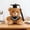 Brown, variant on Roiihwy Graduation Gifts for Her Teddy Bear Stuffed Animals, Bear Plush Baby Toys with Cap and Gown College High Graduation School Preschool Kindergarten Gifts for Boys Girls