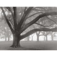 thumbnail image 3 of Guion, William 14x12 Black Modern Framed Museum Art Print Titled - Oak Grove in Fog, 3 of 5