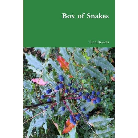 Box of Snakes, (Paperback)