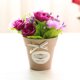 thumbnail image 1 of Virtual Warehouse Rosa Arco de plástico Flor falsa de plástico Flor de imitación japonesa Bonsai pequeño Púrpura 42180422C ANGGREK Otros, 1 of 3