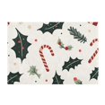 thumbnail image 7 of Yayeee Bath Rug for Bathroom Floor Non Slip Rectangle Fluffy Soft Absorbent Mat, 16"x24", White Christmas Holly, 7 of 7