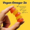 thumbnail image 5 of Wiley's Finest Kids Vegan Omega-3 Gummies - Natural Sugar - Vegetarian DHA, ALA & SDA - Gluten Free - Lemon Flavor, 30 Gummies, 5 of 7