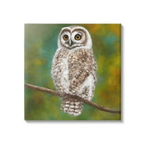 Detailed Wildlife Owl Bird Animals & Insects Painting Gallery Wrapped Canvas Print Wall Art