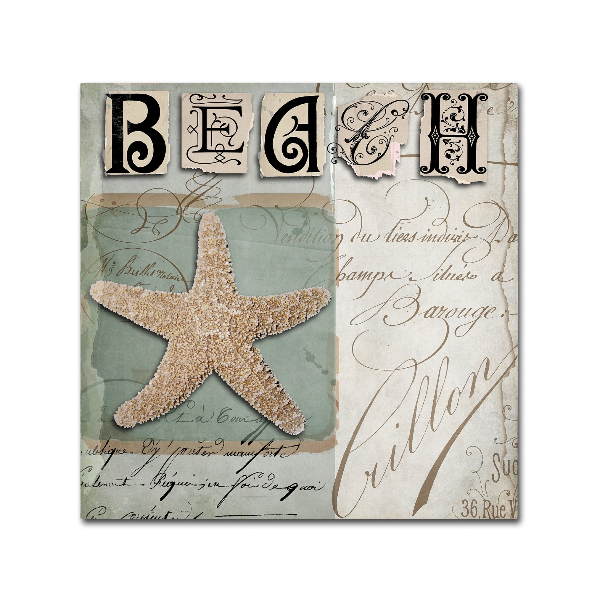 "Beach Book II" Canvas Art by Color Bakery