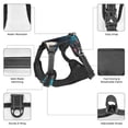 thumbnail image 6 of Lsque Artistic Moon Valley Wolf Dog Harness, No-Pull Pet Harness with 2 Leash Clips, Adjustable Soft Padded Dog Vest with Easy Control Handle for Large Dogs-Large, 6 of 9