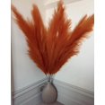 thumbnail image 2 of Evolux Fluffy Faux Pampas Grass - 43'' Tall 3PCS Large Fluffy Fake Pompous Grass for Vase Filler Boho Home Wedding Decoration-Red, 2 of 11