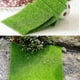 thumbnail image 2 of Artificial Lawn Grass Turf Interlocking Grass Tile Lawn Rug for Garden Bonsai Home Aquarium Artificial Lawn DIY Decoration, 2 of 4