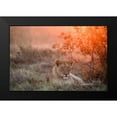 thumbnail image 2 of Catta, Alessandro 14x11 Black Modern Framed Museum Art Print Titled - Sunset Lioness, 2 of 5