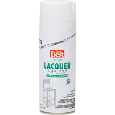 Do it Best High-Gloss Spray Lacquer (Best Rated Exterior Paint Brands)