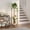 Gold, variant on SUOERNUO Plant Stand Indoor Corner Tall 2 Tier Metal Modern Flower Storage Plant Shelf Holder for Living Room Balcony Garden,White