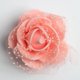 thumbnail image 4 of 50 piezas de celosía de espuma artificial rosa cabezas para boda 4cm rosa Rosado Sunnimix Cabeza de flor rosada de la boda, 4 of 8