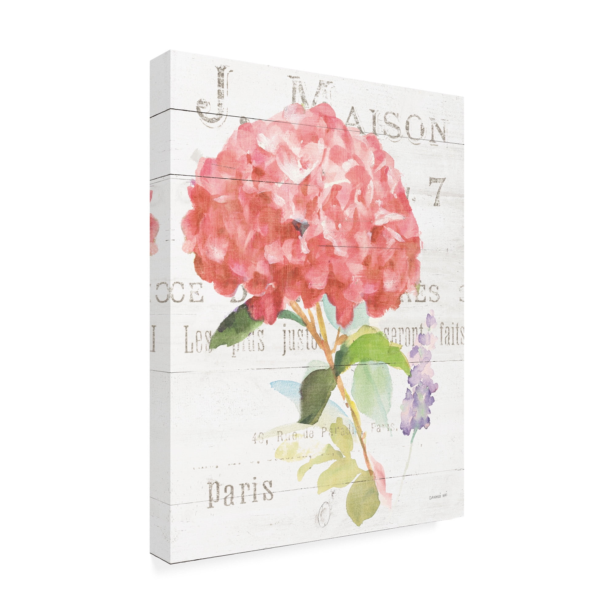 Trademark Fine Art 'Maison des Fleurs VI' Canvas Art by Danhui Nai