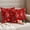 Red, variant on Pack of 2 Valentine's Cardinal Outdoor Pillow Covers Decorative, Waterproof Pillow Protector, Red Love Heart Birds Branch Lumbar Throw Pillowcases for Patio Couch Sofa Home Decor 20"x12"