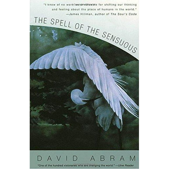Le Sortilège du Sensible par Abram, David