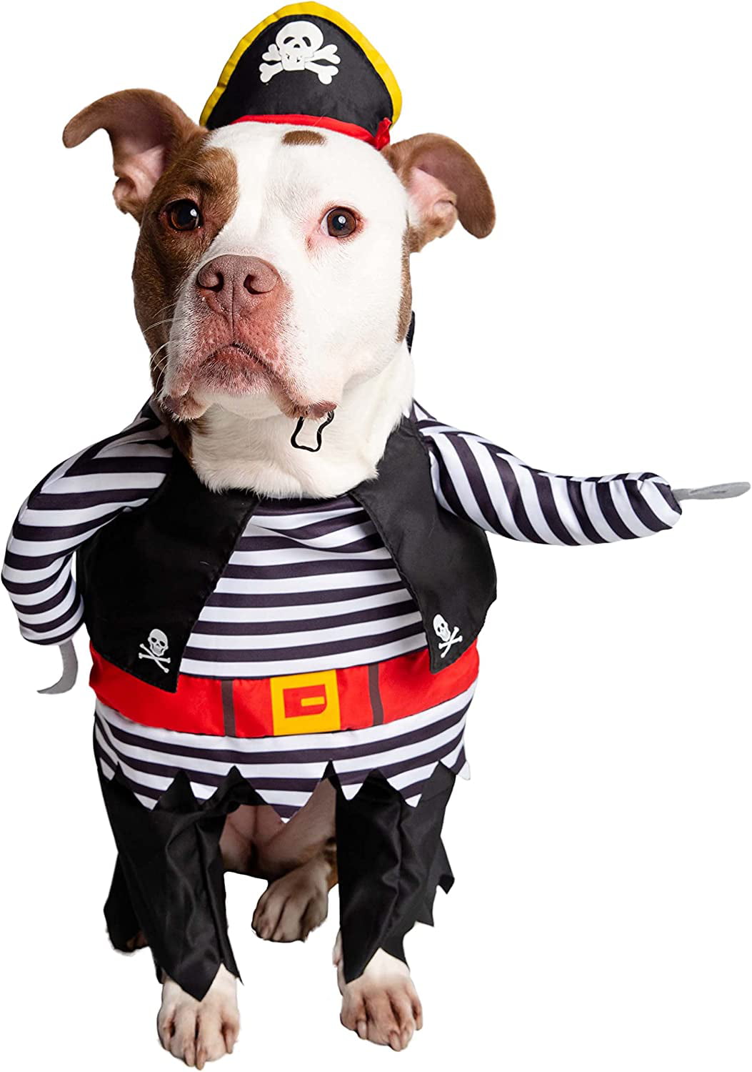 Pirate Pet Costume - Walmart.com