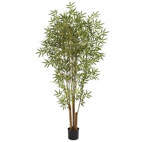 6 ft. Japanese Bamboo Tree