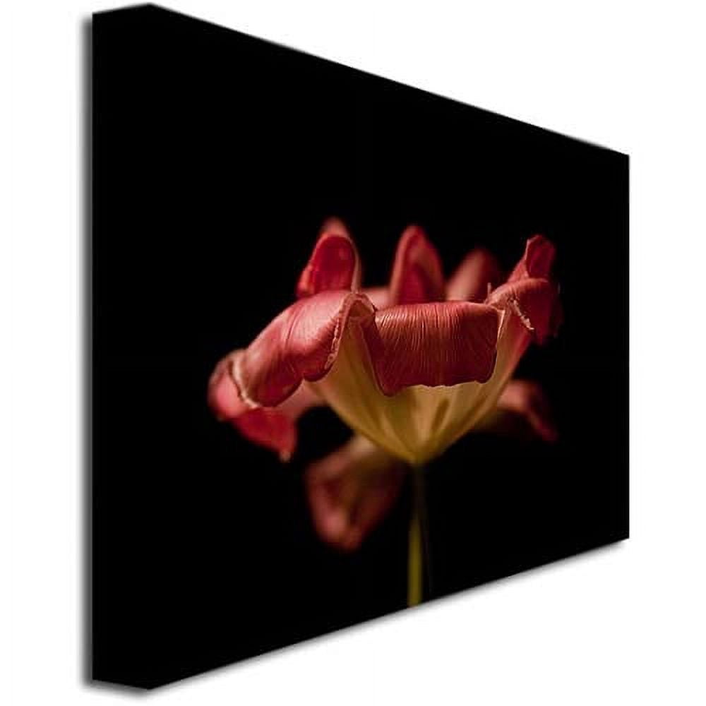 Martha Guerra 'Tulip' 14 x 19 Canvas Art